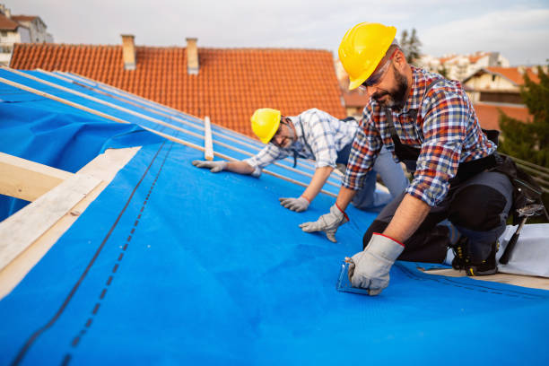 Best Roof Maintenance Services  in Marysville, MI